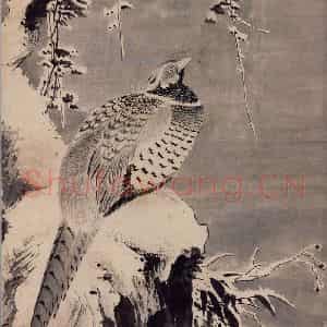 明代 吕纪《寒雪山鸡图》国画花鸟作品图片鉴赏