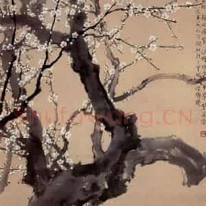 现代 徐悲鸿《白眉图》国画花鸟作品图片鉴赏