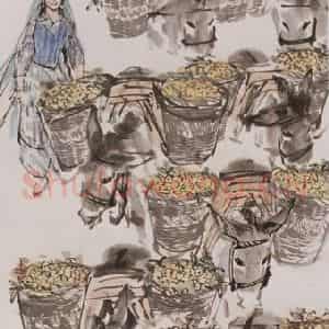 1964年 黄胄《山杏丰收》国画综合作品图片鉴赏