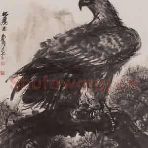 1978年 黄胄《松鹰》国画花鸟作品图片鉴赏