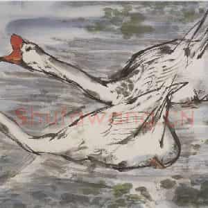 1984年 黄胄《双鹅》国画综合作品图片鉴赏