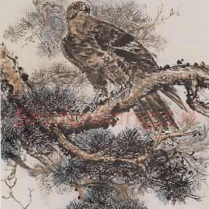 黄胄《松鹰》国画花鸟作品图片鉴赏