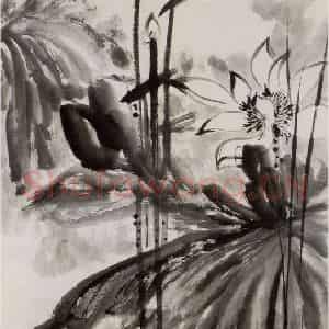 张大千《墨荷图》国画花鸟作品图片鉴赏