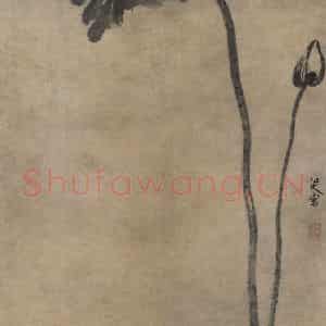 清代 八大山人《荷花图》国画花鸟作品图片鉴赏