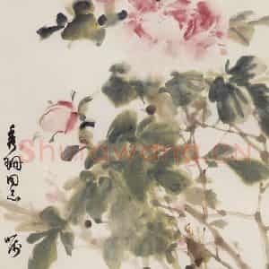 60年代 董寿平《牡丹》国画花鸟写意作品图片鉴赏