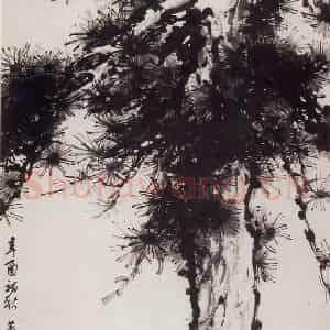 1981年 董寿平《苍松》国画花鸟写意作品图片鉴赏