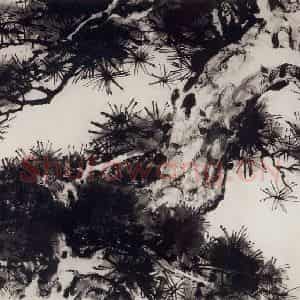 1981年 董寿平《不老松》国画花鸟写意作品图片鉴赏