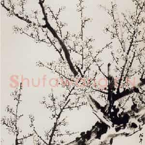 1982年 董寿平《墨梅》国画花鸟写意作品图片鉴赏