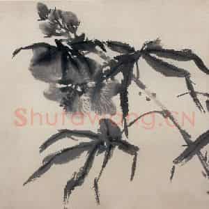 1970年 郭味蕖《水墨花卉册》国画花鸟写意作品图片鉴赏
