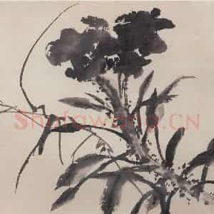 1970年 郭味蕖《水墨花卉册》国画花鸟写意作品图片鉴赏