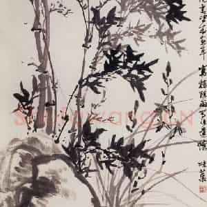 1962年 郭味蕖《黄山白鹅岭下》国画花鸟写意作品图片鉴赏