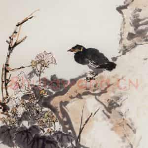 1962年 郭味蕖《芙蓉八哥》国画花鸟写意作品图片鉴赏