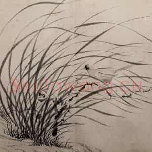 明代 文征明《杂画四段卷》国画综合作品图片鉴赏