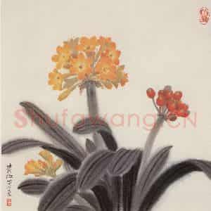 1982年 萧淑芳《君子兰》国画花鸟作品图片鉴赏