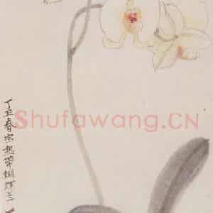 1997年 萧淑芳《蝴蝶兰》国画花鸟作品图片鉴赏
