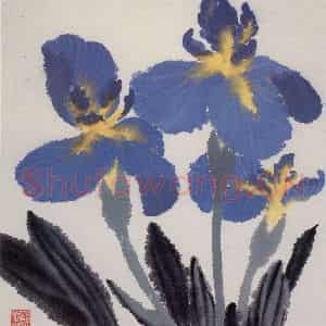 70年代 萧淑芳《紫鸢》国画花鸟作品图片鉴赏