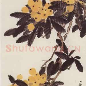 1973年 萧淑芳《江南佳果》国画花鸟作品图片鉴赏