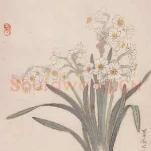 80年代 萧淑芳《水仙花》国画花鸟作品图片鉴赏