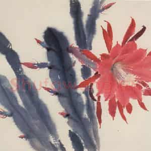 80年代 萧淑芳《令箭荷花》国画花鸟作品图片鉴赏