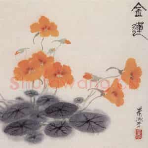 80年代 萧淑芳《金莲花》国画花鸟作品图片鉴赏