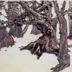 1991年 何海霞《落叶归根》国画花鸟写意作品图片鉴赏