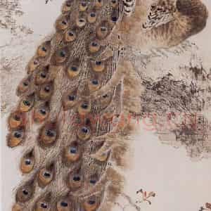 1958年 杨善深《翠屏佳选》国画花鸟作品图片鉴赏