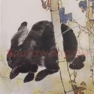 杨善深《黑兔》国画综合作品图片鉴赏