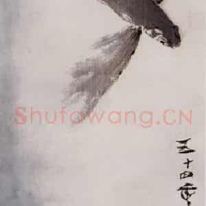 1965年 杨善深《飞鱼》国画综合作品图片鉴赏