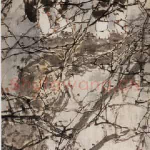 1977年 杨善深《树猫》国画综合作品图片鉴赏