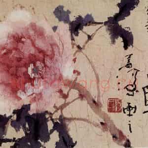 1983年 杨善深《牡丹》国画花鸟作品图片鉴赏