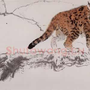 杨善深《豹猫》国画综合作品图片鉴赏