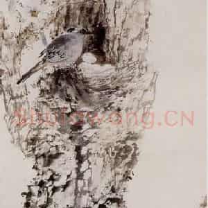 1998年 杨善深《乔木之家》国画花鸟作品图片鉴赏