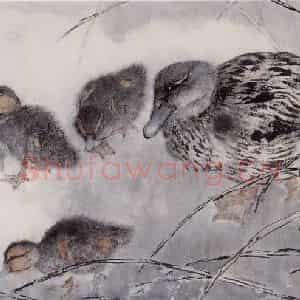 1996年 杨善深《群鸭图》国画花鸟作品图片鉴赏