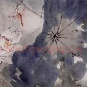 杨善深《夏夜荷塘》国画花鸟作品图片鉴赏