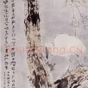 杨善深《白鹭》国画花鸟作品图片鉴赏