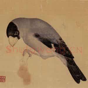 1948年 马晋《花卉翎毛写生》国画花鸟作品图片鉴赏