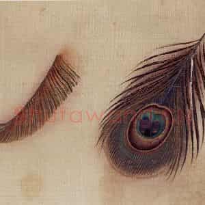 1948年 马晋《花卉翎毛写生》国画花鸟作品图片鉴赏