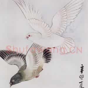 1951年 马晋《和平鸽信笺》国画花鸟作品图片鉴赏