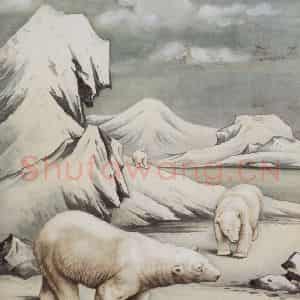 1952年 马晋《北极熊》国画花鸟作品图片鉴赏