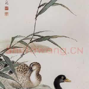 1959年 马晋《湖畔双鸭》国画花鸟作品图片鉴赏