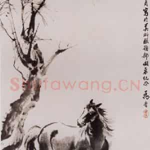 1961年 马晋《马》国画花鸟作品图片鉴赏