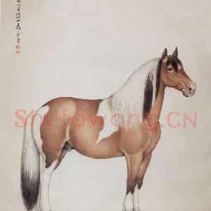 1961年 马晋《骏马图》国画花鸟作品图片鉴赏