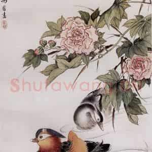 1961年 马晋《鸳鸯》国画花鸟作品图片鉴赏