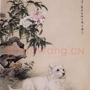 1962年 马晋《白犬》国画花鸟作品图片鉴赏
