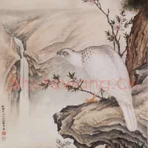 1933年 马晋《苍松白鹰》国画花鸟作品图片鉴赏