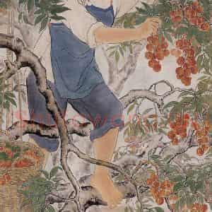 1953年 方人定《荔枝熟了》国画——综合作品图片鉴赏