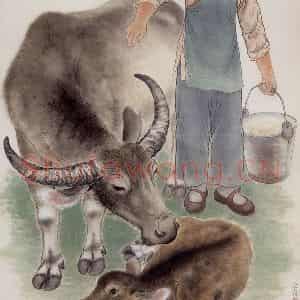 1956年 方人定《出生的小牛》国画综合作品图片鉴赏