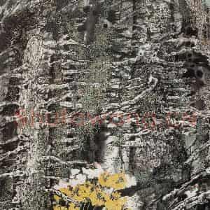 1989年 王晋元《岁月蹉跎》国画花鸟写意作品图片鉴赏