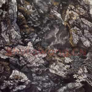 1992年 王晋元《石之魂》国画花鸟写意作品图片鉴赏