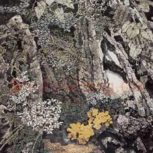 1994年 王晋元《春满雨林》国画花鸟写意作品图片鉴赏
